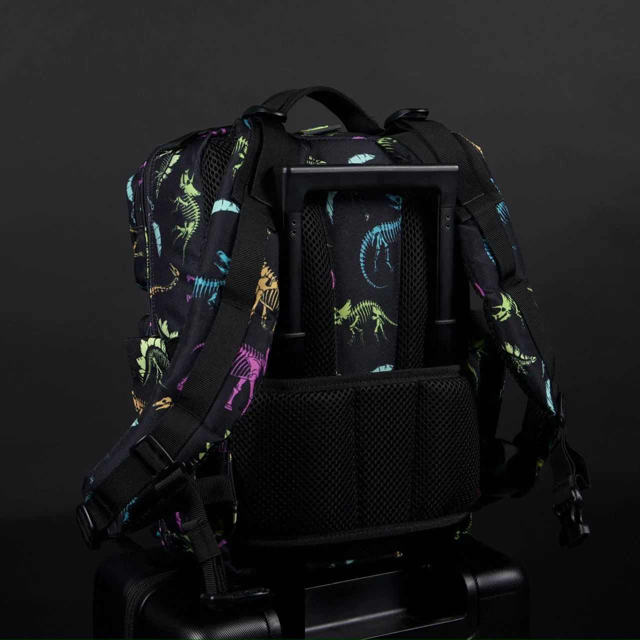 15L Backpack Dino Bag