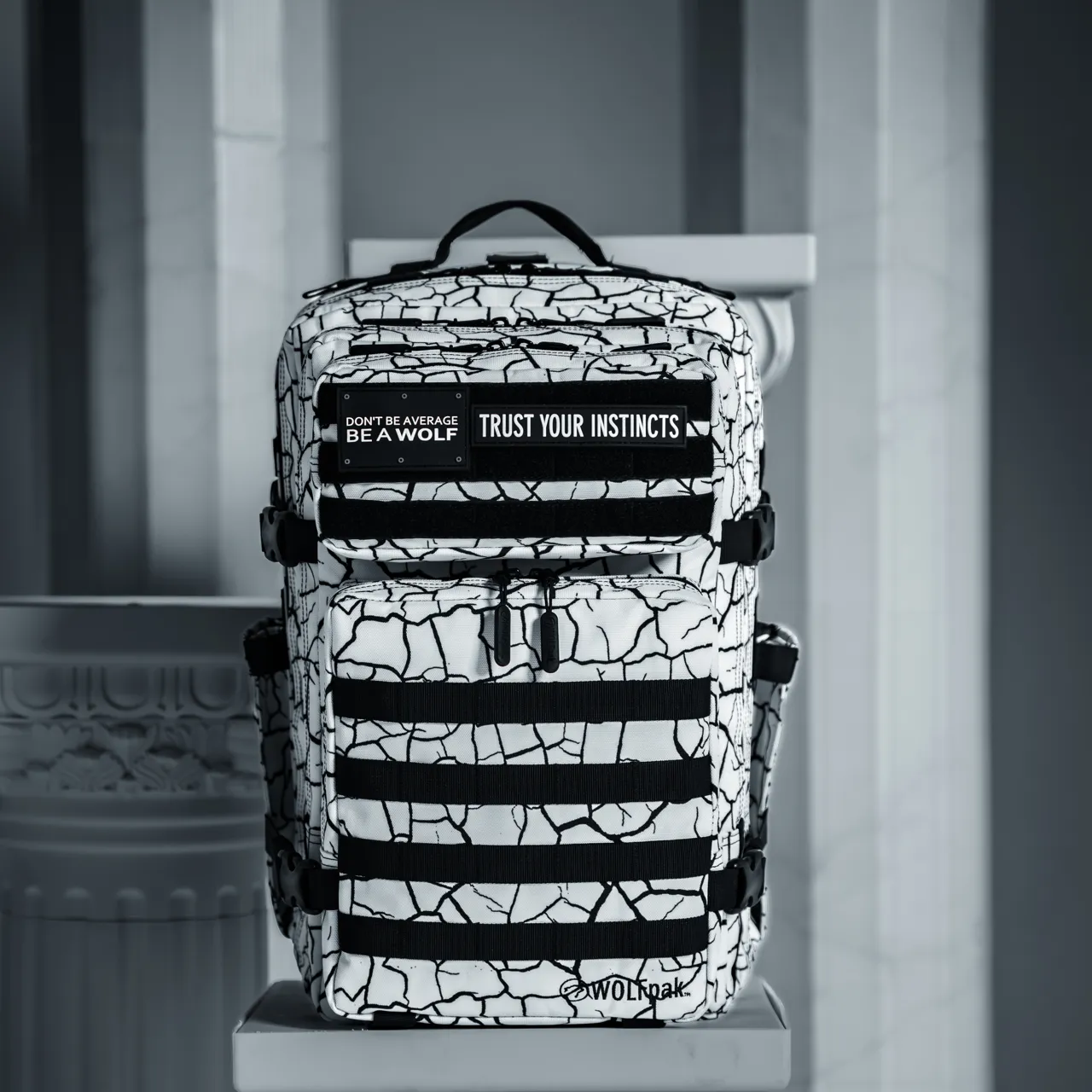 45L Backpack Part 2: The Reign (SALE)