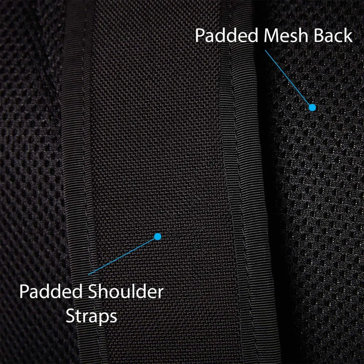 Medium Roll Top Backpack: 22L