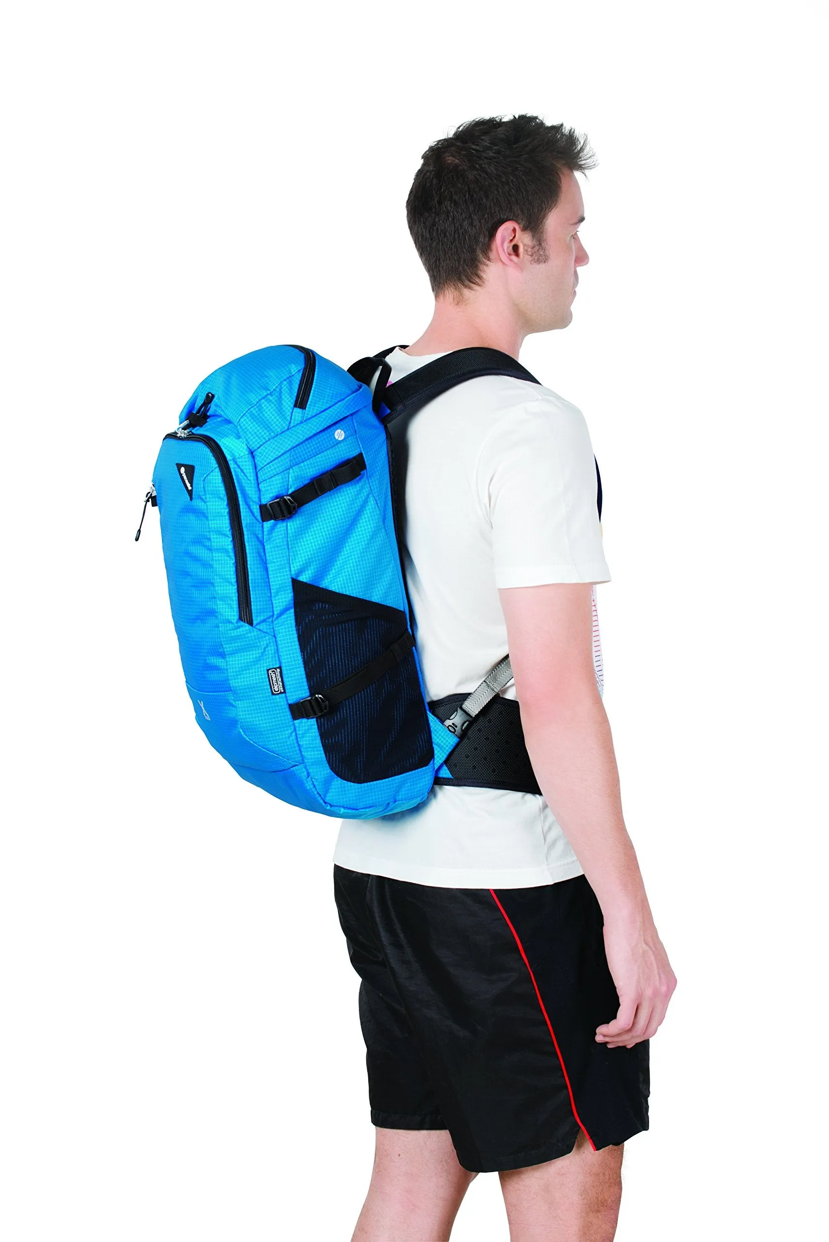 Pacsafe Venturesafe X30